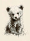 Bear Cub 1-P-4