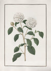 No. 620-041