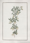 No. 620-040