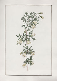 No. 620-040