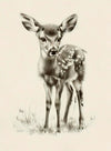 Baby Deer 1-P-1