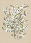 No. 132-071