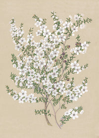 No. 132-071