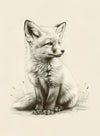 Baby Fox 1-P-2