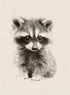 Baby Raccoon 1-P-8