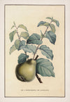 No. 202-001-012
