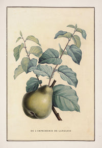 No. 202-001-012