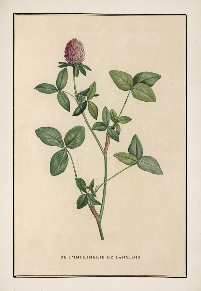 No. 202-001-013