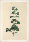 No. 202-001-009