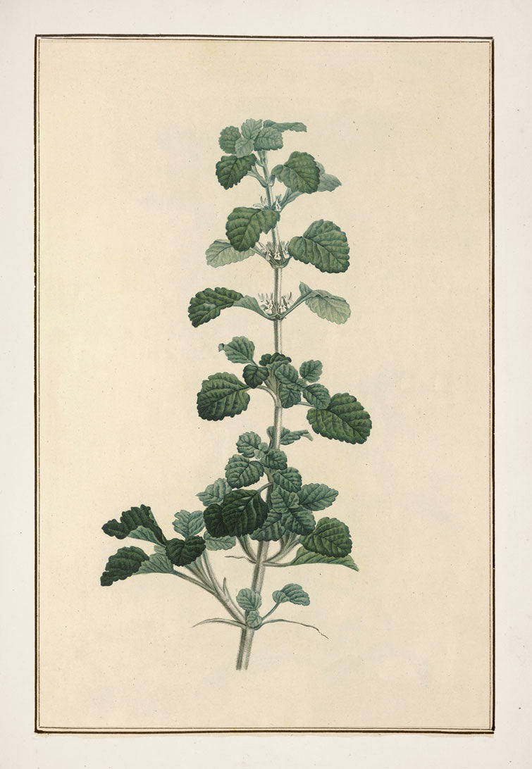 No. 202-001-009