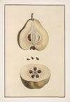 No. 202-001-006