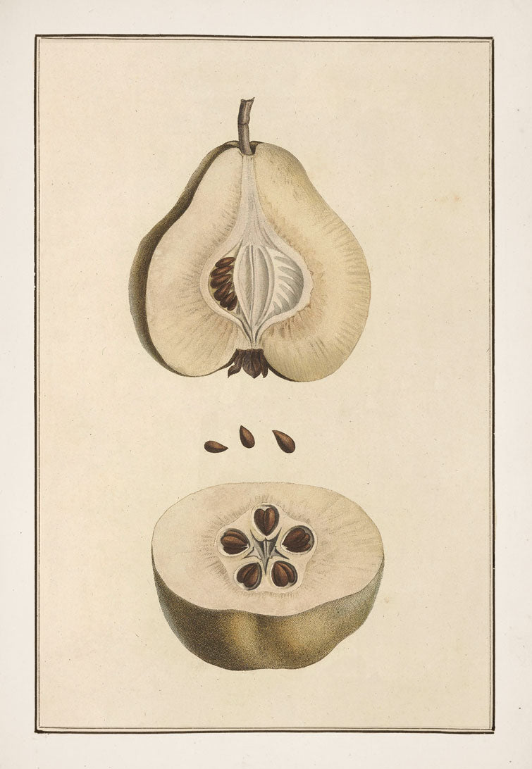 No. 202-001-006