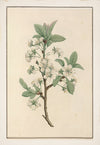 No. 202-001-010
