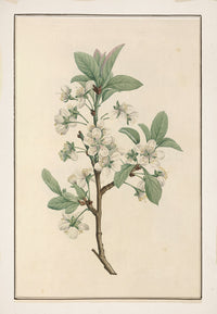 No. 202-001-010