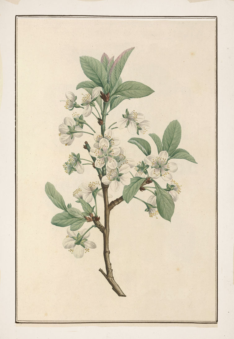 No. 202-001-010