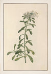 No. 202-001-011