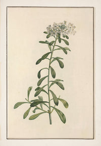 No. 202-001-011