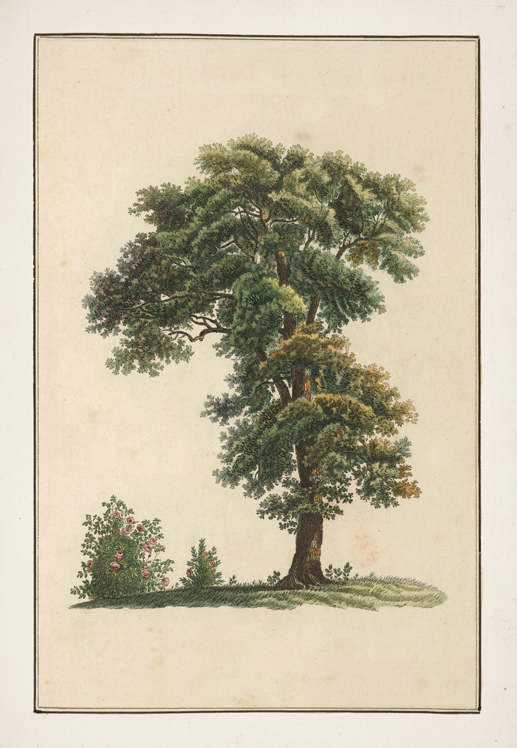 No. 202-001-007