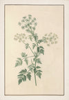 No. 202-001-008