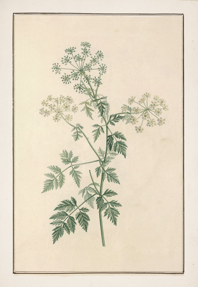No. 202-001-008