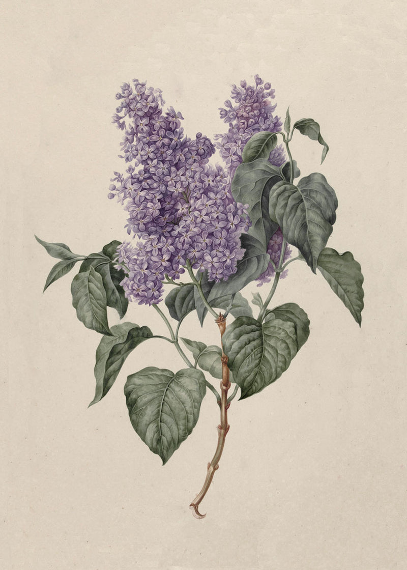 No. 132-003