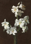 No. 132-034
